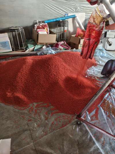 四冠包衣拌种，防虫防病壮苗增产。