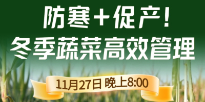 《细说农技》专家张宝林教冬季蔬菜防寒 + 促产高效管理，27 日晚 8 点！