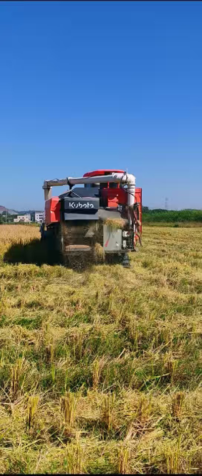 惠州基地，无人拖拉机收水稻了。