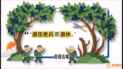 第7节：修剪决定产量（下）&mdash;&mdash;结果树的更新与疏果，课程：《蓝莓&ldquo;高产&rdquo;实战课：从选苗到丰收的10个关键点》