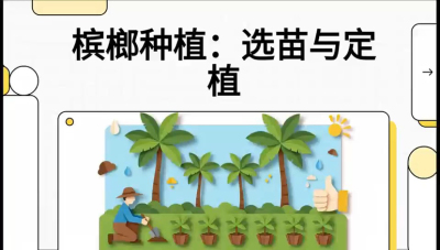 第01节：选苗与定植&mdash;&mdash;&ldquo;苗好一半收，底肥定千秋&rdquo;课程：《槟榔种植：从不懂到精通的10堂必修课》