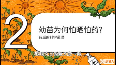 第02节：幼树管理&mdash;&mdash;&ldquo;防晒又防草，树势起得早&rdquo;，课程：《槟榔种植：从不懂到精通的10堂必修课》