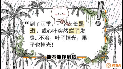 第05节：常见真菌病害&mdash;&mdash;&ldquo;炭疽与烂心，早防值千金&rdquo;《槟榔种植：从不懂到精通的10堂必修课》