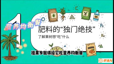 第07节：科学施肥&mdash;&mdash;&ldquo;氮磷钾配好，树壮果不倒