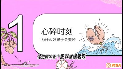 第08节：微量元素与保果&mdash;&mdash;&ldquo;补硼又补钙，果子不裂坏&rdquo;《槟榔种植：从不懂到精通的10堂必修课》