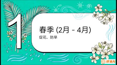 第10节：周年农事日历&mdash;&mdash;&ldquo;跟着节气走，丰产在手头&rdquo;《槟榔种植：从不懂到精通的10堂必修课》