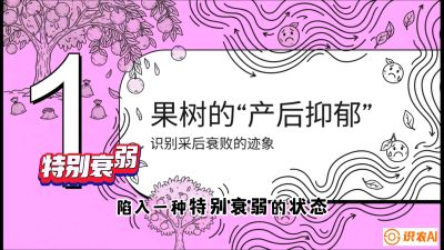 第2节：【冬肥策略】采后&ldquo;月子肥&rdquo;：大小年的精准干预术，课程：《柑橘底肥&ldquo;翻身账&rdquo;：从改土到高产的实战全书》