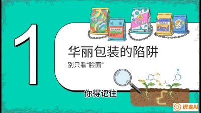 第4节：【黄金配方】底肥里的&ldquo;铁三角&rdquo;与&ldquo;微量雷区&rdquo;课程：《柑橘底肥&ldquo;翻身账&rdquo;：从改土到高产的实战全书》