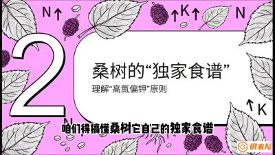 第04节：地下核动力&mdash;&mdash;桑树专用水肥一体化配方，课程：《桑海淘金：桑树高产与蚕桑安全进阶实战课》