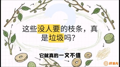 第12节：变废为宝&mdash;&mdash;循环农业实操，课程：《桑海淘金：桑树高产与蚕桑安全进阶实战课》