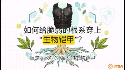 第三节：国产榴莲突围战：根系堡垒，菌根微生态构建与黄金定植窗口，课程：《国产榴莲突围战：从泰国经验到中国实操的8堂必修课（高阶实战版）》