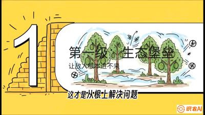 第七节：榴莲防御战：病虫害三级立体防控，疫霉菌与虫害的立体封锁线，课程：《国产榴莲突围战：从泰国经验到中国实操的8堂必修课（高阶实战版）》