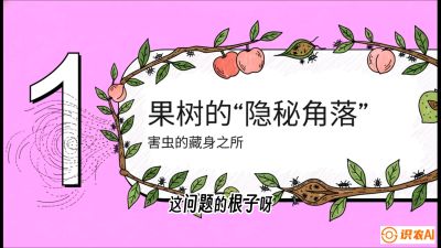 第3节：无人机专治&ldquo;打不透&rdquo;&mdash;&mdash;果树与高杆作物的穿透技巧，课程：《无人机植保搞钱必修课：从&ldquo;瞎飞&rdquo;到&ldquo;懂行&rdquo;的6步进阶》