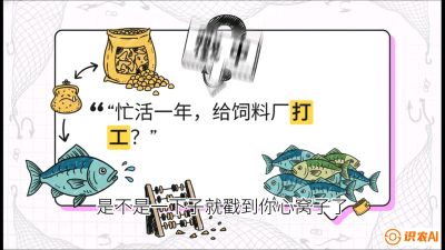 第一节：【选品与规划】如果不养&ldquo;四大家鱼&rdquo;，我们还能养什么？,课程：《黄金鳞甲：2025中国淡水鱼高效养殖实战营》