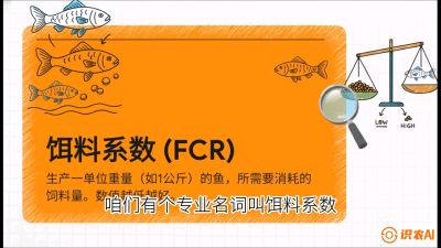 第五节：【高端单品&middot;鳜鱼】&ldquo;饲料鳜&rdquo;技术：打破吃活饵的高成本魔咒，课程：《黄金鳞甲：2025中国淡水鱼高效养殖实战营》