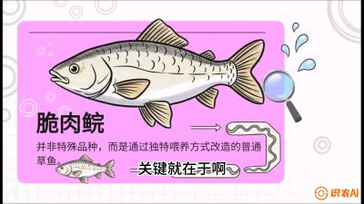 第六节：【老品升级&middot;脆肉鲩】如何让草鱼身价翻倍？，课程：《黄金鳞甲：2025中国淡水鱼高效养殖实战营》