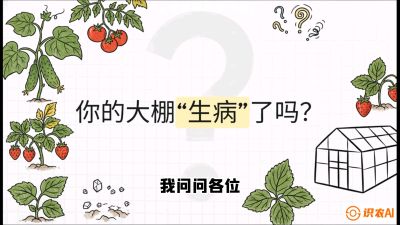 第2节（解毒篇）： 大棚里的&ldquo;红白绿&rdquo;警报&mdash;&mdash;读懂土壤盐渍化的求救信号，课程：《揭秘土壤的秘密：让土地帮你赚钱》#识农AI