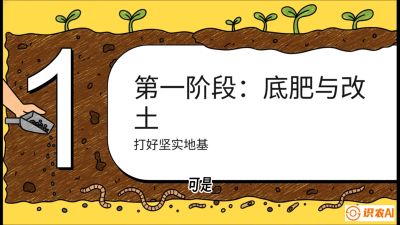 第6节（统筹篇）： 省钱又增产的&ldquo;黄金配比&rdquo;&mdash;&mdash;不同作物全年的养土实操方案，课程：《揭秘土壤的秘密：让土地帮你赚钱》#识农AI