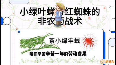 第03节（虫害篇）：看不见的吸血鬼：小绿叶蝉与红蜘蛛的&ldquo;非农药&rdquo;团灭战术（抗性治理），课程：《茶金时代：从&ldquo;看天吃饭&rdquo;到&ldquo;精准控局&rdquo;的茶叶高产提质实战课》