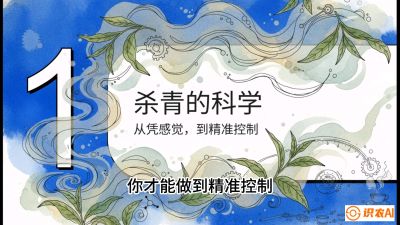 第05节（加工篇）：决胜2分钟：用&ldquo;数字温控&rdquo;破解杀青不匀，复刻大师级手工口感，课程：《茶金时代：从&ldquo;看天吃饭&rdquo;到&ldquo;精准控局&rdquo;的茶叶高产提质实战课》