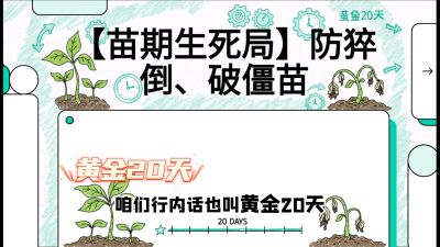 第2节：【苗期生死局】防猝倒、破僵苗，决定后期产量的&ldquo;黄金20天&rdquo;，课程：《辣椒种植实战特训营，从工业辣椒到精品小米辣，教你如何把&ldquo;草&rdquo;种成&ldquo;金&rdquo;》