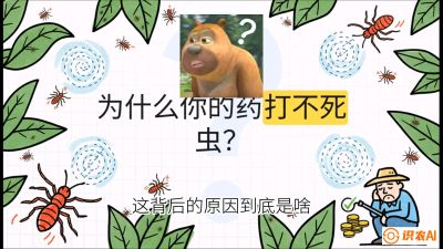 第4节：【虫害歼灭战】打不死的蓟马、隐形的茶黄螨：抗性时代的&ldquo;混配绝杀&rdquo;，课程：《辣椒种植实战特训营，从工业辣椒到精品小米辣，教你如何把&ldquo;草&rdquo;种成&ldquo;金&rdquo;》