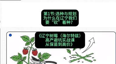第一节： 选种与规划&mdash;&mdash;为什么在辽宁我们要&ldquo;砍&rdquo;着种？，课程：《辽宁树莓（海尔特兹）高产避坑实战课：从保苗到高价》