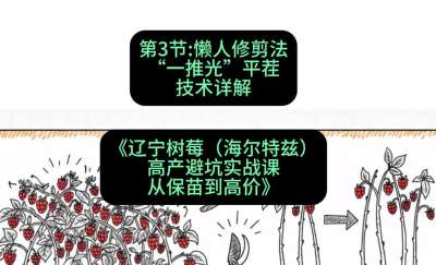 第三节： 懒人修剪法&mdash;&mdash;&ldquo;一推光&rdquo;平茬技术详解，课程：《辽宁树莓（海尔特兹）高产避坑实战课：从保苗到高价》