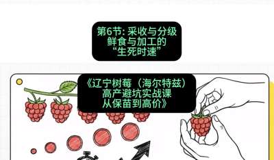 第六节： 采收与分级&mdash;&mdash;鲜食与加工的&ldquo;生死时速&rdquo;，课程：《辽宁树莓（海尔特兹）高产避坑实战课：从保苗到高价》