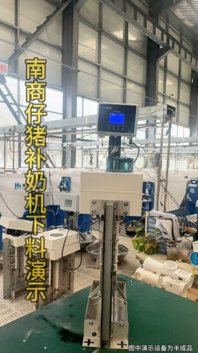 小猪抢不到奶，干瘦不长肉？成活率总上不去？😭
自从用上南商农科这款仔猪补奶机，再也没这烦恼！
✅ 一键设置下料参数，新手也能上手
✅ 恒温补奶，小猪抢着喝，长势超均匀
从车间精工组装到猪场落地使用，每