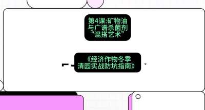 第4节：【替代方案】矿物油与广谱杀菌剂的&ldquo;混搭艺术&rdquo;，课程：《经济作物冬季清园&middot;实战防坑指南》#识农AI