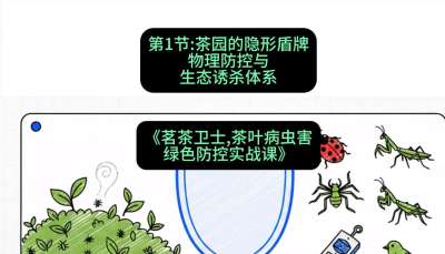 第01节：茶园的&ldquo;隐形盾牌&rdquo;&mdash;&mdash;物理防控与生态诱杀体系，课程：《茗茶卫士&mdash;&mdash;茶叶病虫害绿色防控实战课》#识农AI