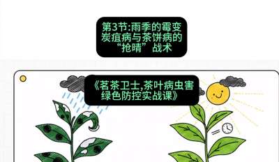 第03节：雨季的霉变&mdash;&mdash;炭疽病与茶饼病的&ldquo;抢晴&rdquo;战术，课程：《茗茶卫士&mdash;&mdash;茶叶病虫害绿色防控实战课》#识农AI