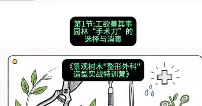 第01节：工欲善其事&mdash;&mdash;园林&ldquo;手术刀&rdquo;的选择与消毒，课程：《景观树木&ldquo;整形外科&rdquo;造型实战特训营》#识农AI