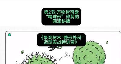 第02节：万物皆可盘&mdash;&mdash;&ldquo;精球形&rdquo;修剪的圆润秘籍，课程：《景观树木&ldquo;整形外科&rdquo;造型实战特训营》#识农AI