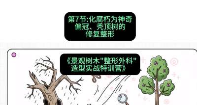 第07节：化腐朽为神奇&mdash;&mdash;偏冠、秃顶树的修复整形，课程：《景观树木&ldquo;整形外科&rdquo;造型实战特训营》#识农AI