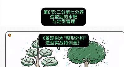 第08节：三分剪七分养&mdash;&mdash;造型后的水肥与定型管理，课程：《景观树木&ldquo;整形外科&rdquo;造型实战特训营》#识农AI